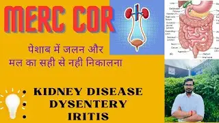 MERC COR | Merc Cor 30 uses in Hindi | Bacillary dysentery and amoebic dysentery |
