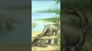 FunFacts About The Brontosaurus #shorts
