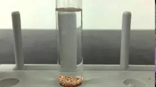 Reaction Copper and HCl
