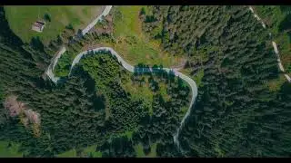 Forest Drone View Full Hd Video||Read Descriptions First||Copyright Free||Creative Commons