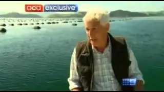 Health Benefits of NZ Green Lipped Mussels - A Current Affair