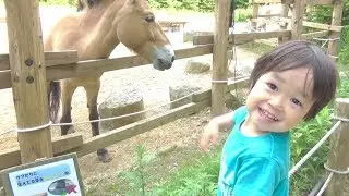 おでかけ どんな動物がいるかな？！多摩動物園 レオ★スマイル
