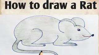 How to draw a Rat| easy Rat drawing step by step