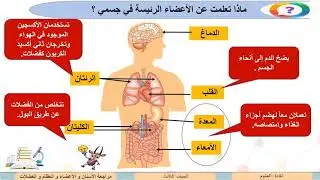 الصف الثالث   العلوم   مراجعة  الأسنان والأعضاء والعظام والعضلات