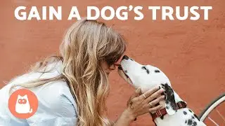 5 TIPS to GAIN a DOG'S TRUST 🐶✅