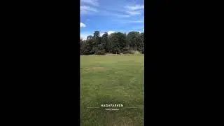 Haga Parken @ Solna 2019-09-04 👣
