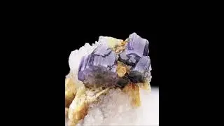 Apatite with Mica and Quartz - Pakistan | Fine Art Minerals | Apatite |
