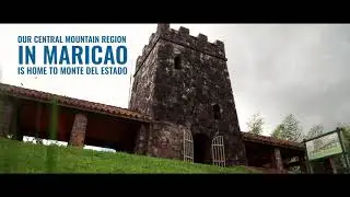 Discover Puerto Rico: Monte del Estado State Forest