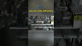 Shaped pouch filling machine-Filling machines-For juice. Acepack