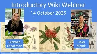 Online workshop 