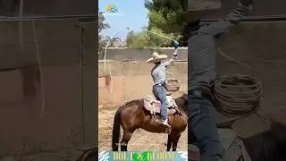 🐎Watch These Epic Horse Moves!