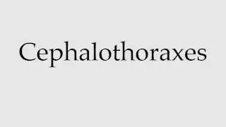 How to Pronounce Cephalothoraxes