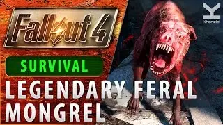 Fallout 4 - Legendary Feral Mongrel - SURVIVAL - Near the Parkview Apartments