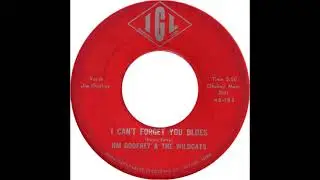 Jim Godfrey And The Wildcats (I Can't Forget You Blues)