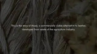 Introducing Musa bio-leather, made from waste wool & banana fibre.