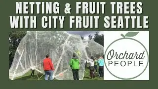 Protecting Fruit Trees from Insects and Birds with Exclusion Netting with CIty Fruit Seattle