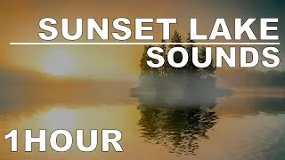 Sunset lake - Water sounds to sleep too