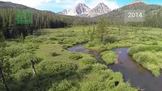TLM20: Aerials 2014