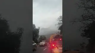 This video is not funny 🤧#youtubeshorts #funny #traffic #comedy #trading #shots #motivation