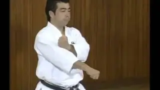 Hirokazu Kanazawa Shotokan Karate Complete Guide 1