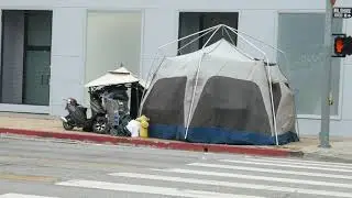 Homeless Camp Tent Los Angeles California USA April 17, 2025
