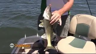 Fishing Tips to Catch Walleye at Deer Creek Reservoir
