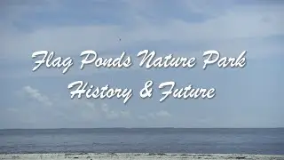 Flag Ponds Nature Park - Shoreline Remediation Microdocumentary - Calvert County, MD