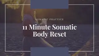 Somatic Body Reset in 11 Minutes | Guided Audio Practice