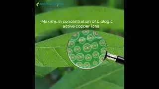 Kocide 3000_Bharat CertisAgriScience Ltd.  #Kocide3000 #Coppertechnology  #agriculture #farming
