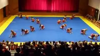 Gala de gym 2013 Les USA