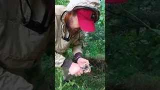 СЪЕЛИ ДО НАС #fishingholidays  #грибы #юмор
