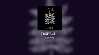 FAKE SOUL