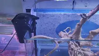 Фильтр навесной Aquael VersaMax-Mini