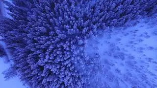 ALKAN | CHİLL (Music Video)