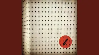 The Ants (Feeding Chain Pt.2)