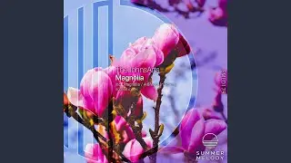 Magnolia (Original Mix)