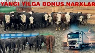 Yangi yilga bonus narxlar boshlandi 😱😱 ulgurib qoling 👍👍👍