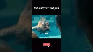 1 Million Old Fish Discover 🔥 #movieexplain #movie #oldfish #voicequeenxyz