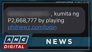 Text scams 'may be from telco contractors': Ex-NPC Commissioner | ANC