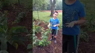 Southwest Georgia garden tour part 1