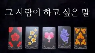 [타로] 그 사람이 하고 싶은 말