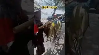 Unexpected fortune #videoshorts #fishing #fullstrike
