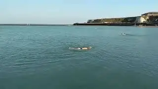 Swimming Without Stress: A Sea Swimmer in June
