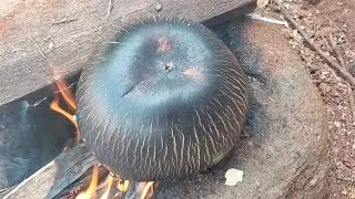 பனம்பழம் சுட்டு சாப்பிடலாமா?😍Roasting Palmyra fruit in village style/Simple cook