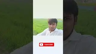 #vlog video shoot #kaise kare, vlog video shoot, vlog video shooting tips, vlog video shoot camera,