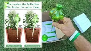 Self-Watering Globes 4-Pack Amazon - Unboxing/Review