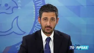 TG FIPSAS 2017 - 11