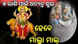 ୫ ଟି ରାଶି ହେବେ ମାଲା ମାଲ୍ ଶୁକ୍ରଙ୍କ ଶୁଭ ଦୃଷ୍ଟି ll bhagya chakra ll astrology