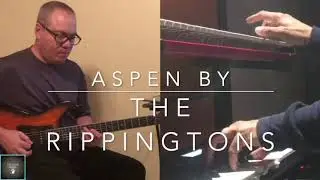 Cuco David - Aspen By The Rippingtons (COVER)