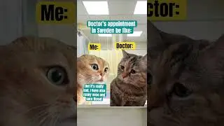 How does a doctor&rsquo;s appointment in Sweden looks like? Swedish health care #sweden #sverige
